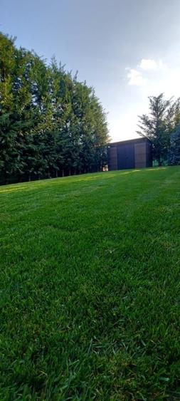 Confort ,liniste si intimitate Dumbravita - 12