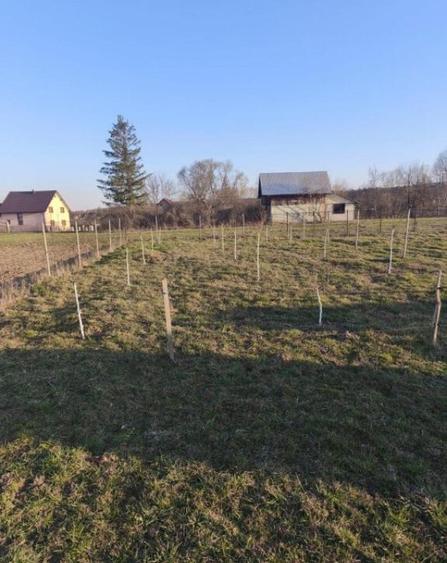 Casa finisata, teren 2500mp, Marginea - 10