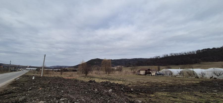 De vanzare 1.7ha teren-6 euro/mp - 2