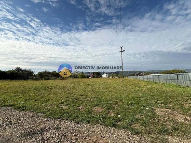 Teren de vanzare 1800 mp Dumbrava Ro?ie - 5