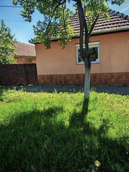 Proprietar, casa frumoasa, Zadareni, 810 mp, toate utilitatile - 15