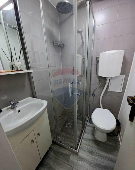 Apartament cu 1 camere de inchiriat in zona 1 Mai - 7