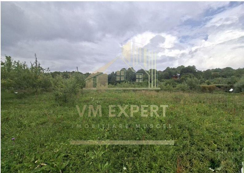 TEREN 20.621 MP CAMPULUNG - 1