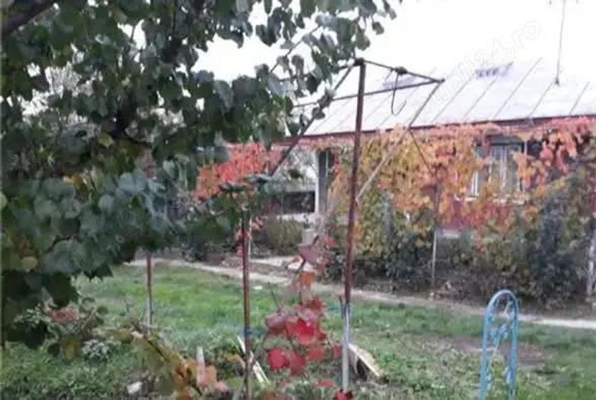 A 13. 20000 mp teren ?i 3 constructii casa in judetul Bacau - 2