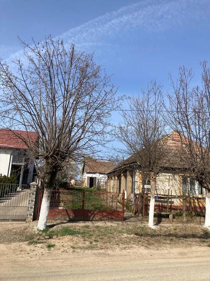 Casa traditionala de vanzare- Sauca, judetul Satu Mare - 4