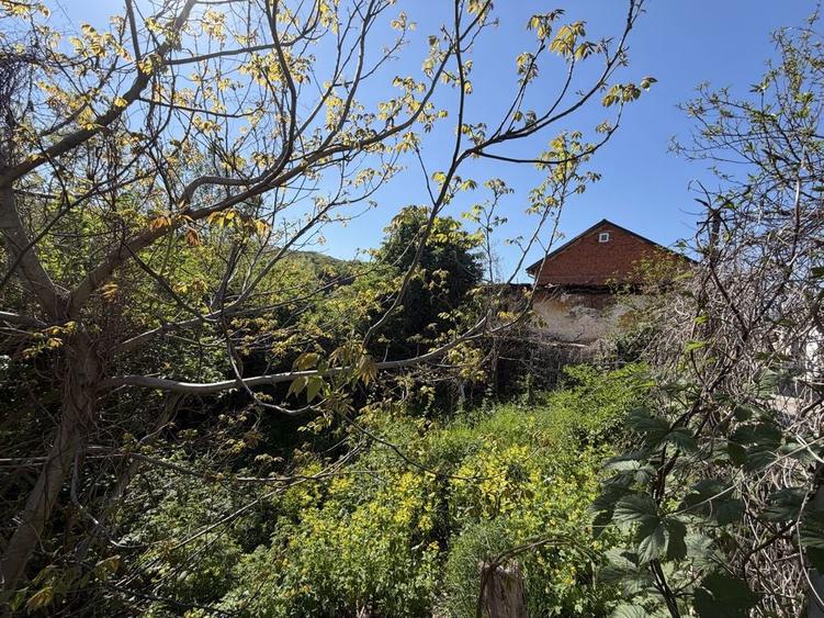 Teren + casa veche de vanzare in Toplet zona linistita, aproape de natura - 4