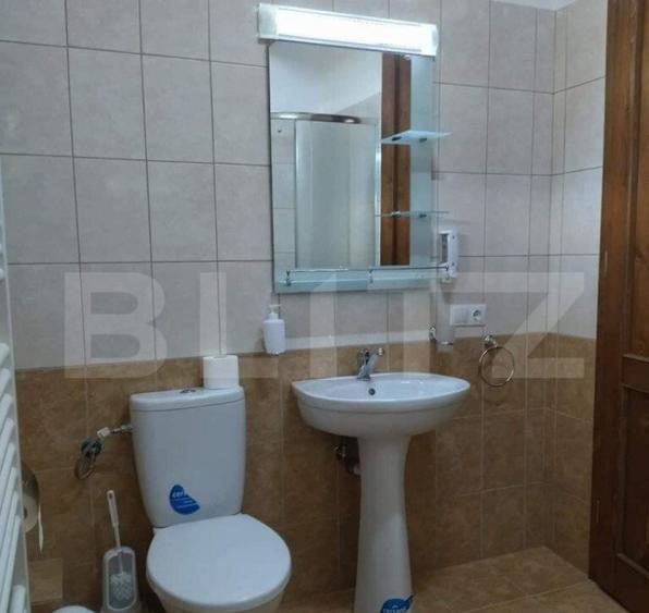 Cabana de vanzare in Stramba - 33