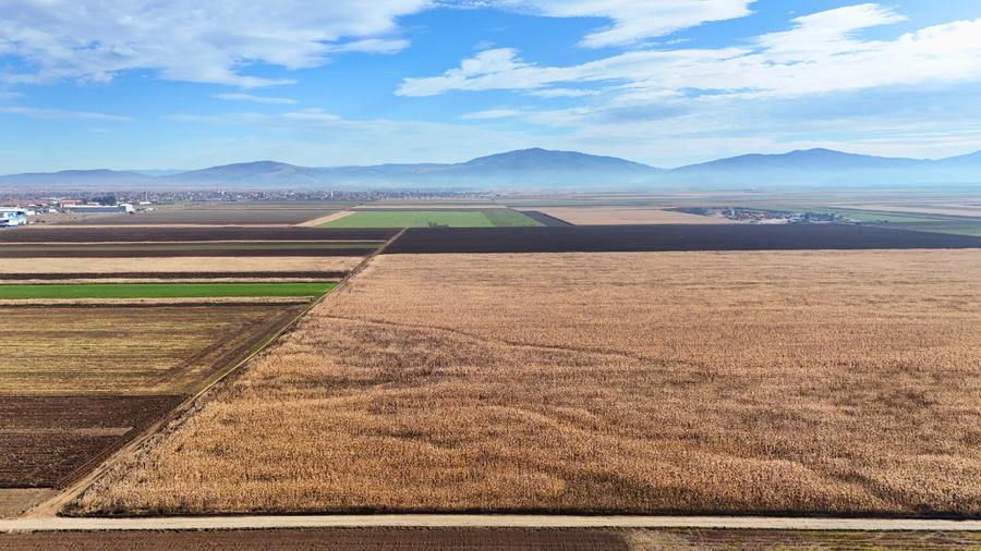 Teren 32,5 Ha compact Prejmer, Brasov. Imagini drona,tur/360 - 7