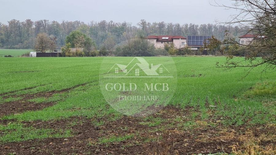 Teren Branesti -Romancierilor - 6