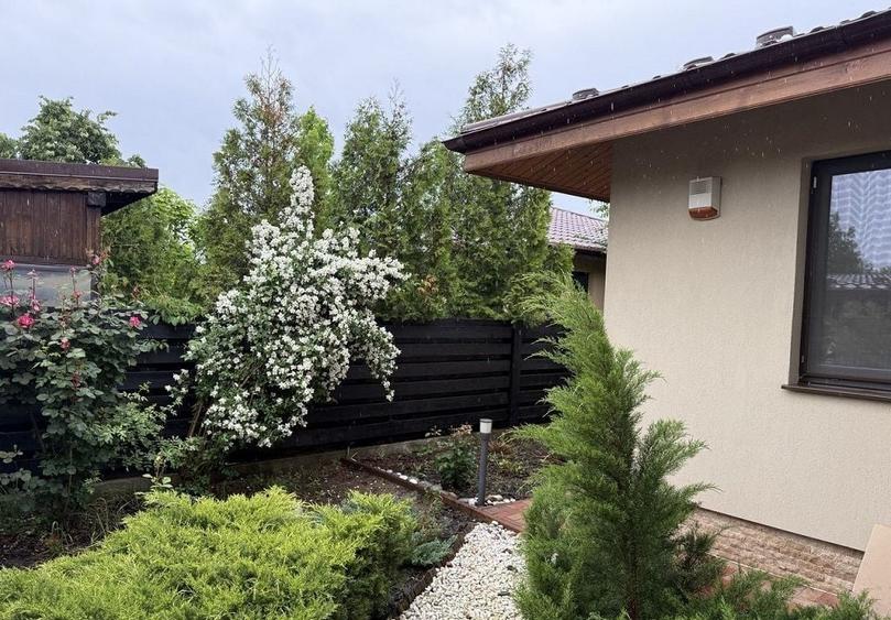 Casă individuala 5 camere | Teren 600mp | Dumbrăveni-Balotesti - 2