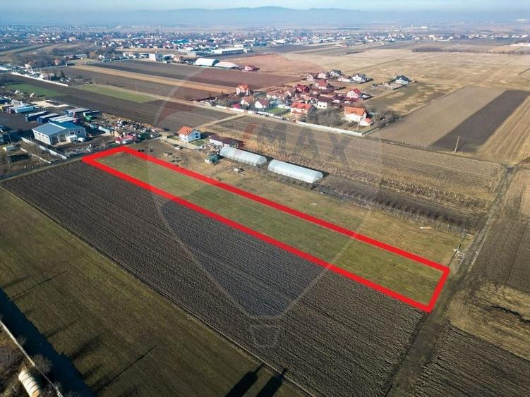 Teren industrial PUZ HALA SERVICE AUTO - 2