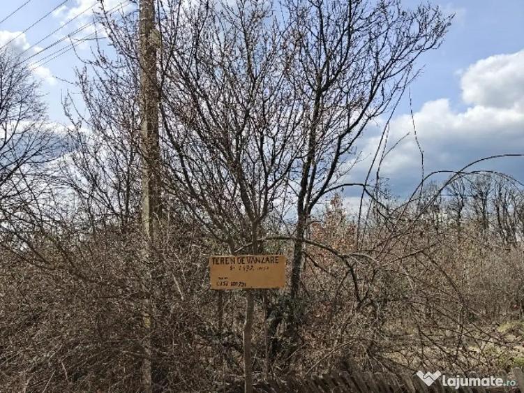 Teren Intravilan 1.472 mp Cotmeana - Linte?ti, Utilita?i la gard, langa Padure - 5