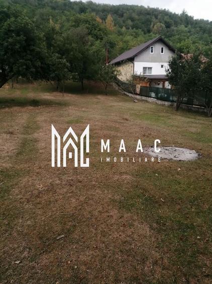 Teren Intravilan 10.000 mp | Livadă + Pădure de salcâm | Bărbătești - 4