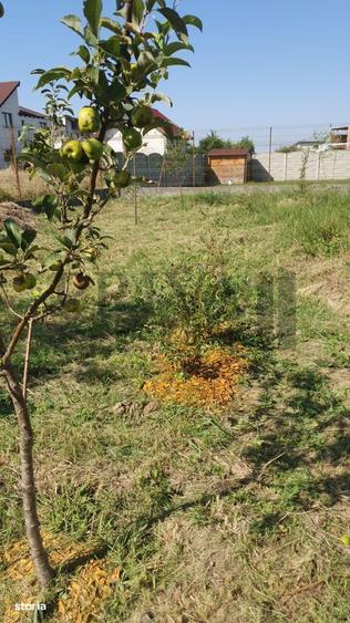 Teren intravilan, 738 mp, fs 16.5 ml, Sag - 6