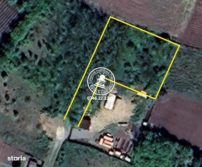 Teren intravilan 904 mp, langa padure - Aroneanu , Iasi - 2