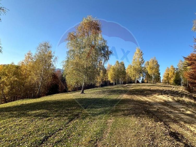 Oportunitate de investiție ! Teren de vis în Pestera - 125.370 mp - 13