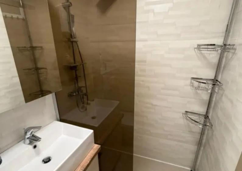 Apartament 3 camere Drumul Taberei - 9