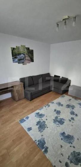 Garsoniera, 33mp, etaj intermediar,cartier Burdujeni - 5