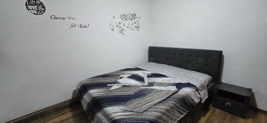 Inchiriere ap. 2 camere Petre Ispirescu-Britannia Restaurant-Sebastian - 4