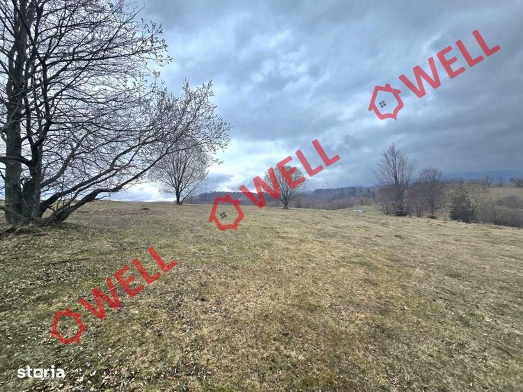 2 terenuri extravilane, Vama Buzaului,zona denumita ,,LENIEE,,! - 1