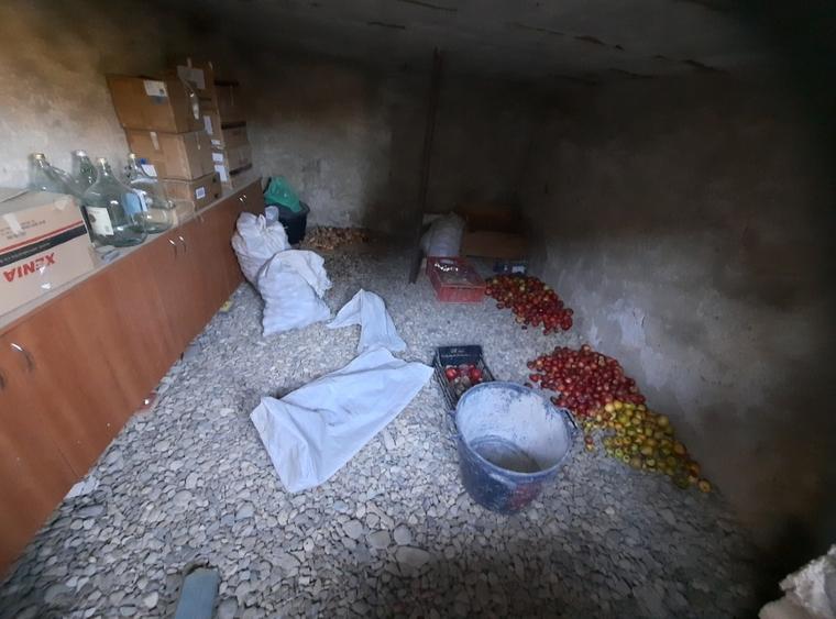 Vand casa la padure - 11