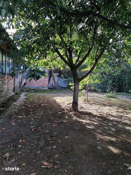 Casa De Vanzare LACUL TEI - 14