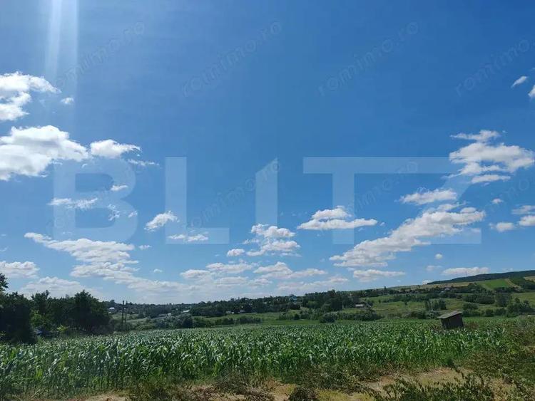 Teren 9600 mp si casa batraneasca demolabila, Dealu - 2