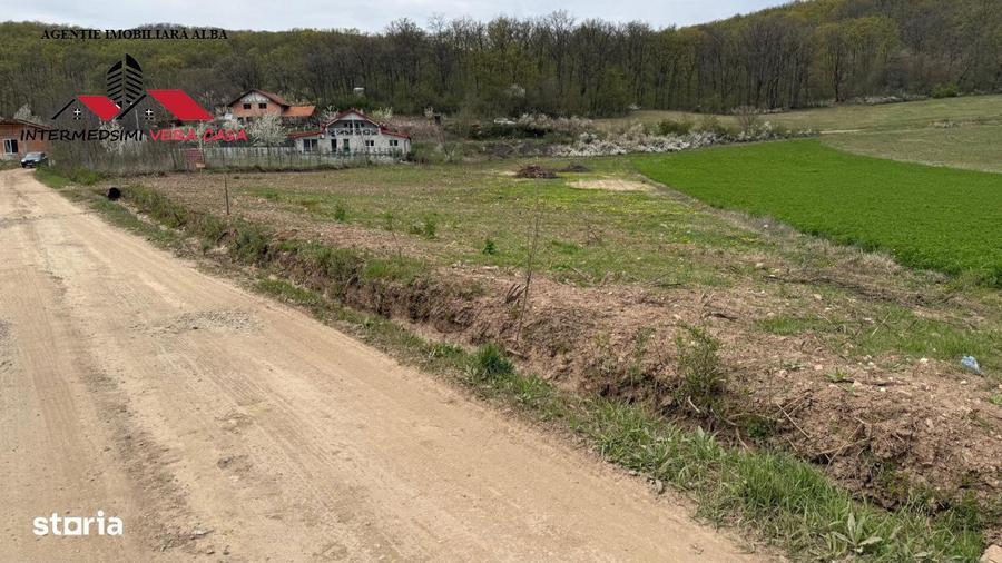 Teren intravilan 833 mp de vanzare in Ampoita Jud Alba - 6