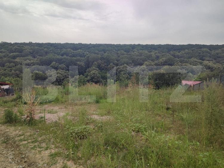 Teren 2350 mp langa padure ,zona Leamna de Jos - 2