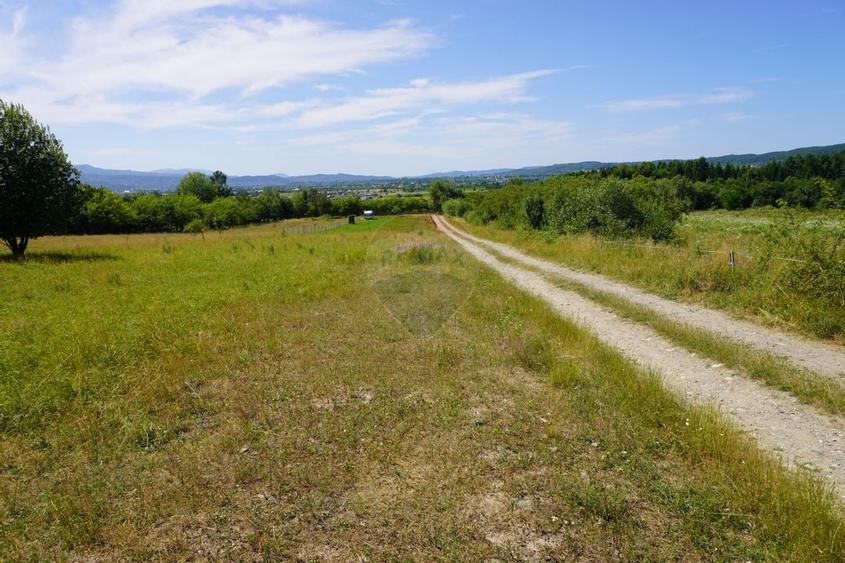 Teren 1,343mp Sighetu Marmatiei / Strada Doboies - 5