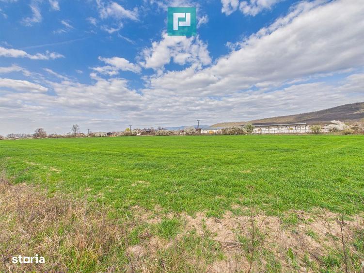 Teren extravilan, 1 ha, in ora?ul Sebi?, Arad - 6