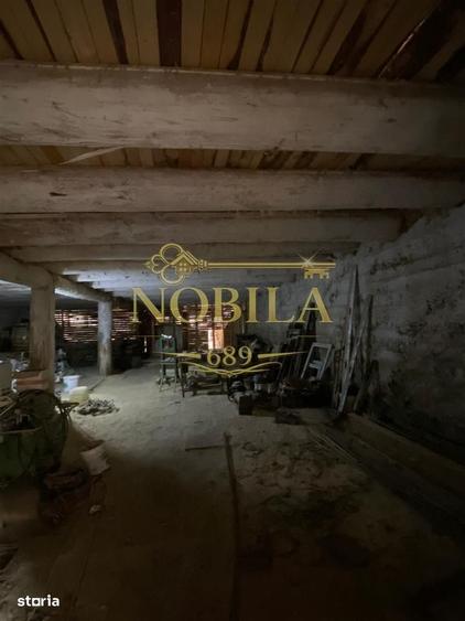 Spațiu comercial, în Agăș