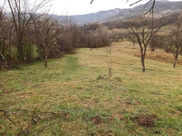 Teren de vanzare - 3