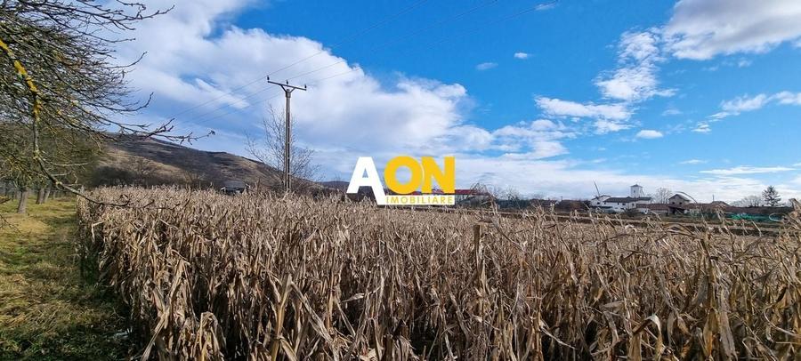 De vanzare 1929mp teren intravilan cu utilitati, Sard - 4