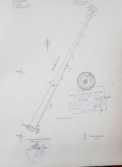 Teren mare cu portiune intravilan Tartasesti Gulia - VAND REPEDE - 6