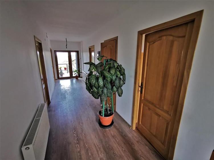 Vila Deosebita Rudicica - 4