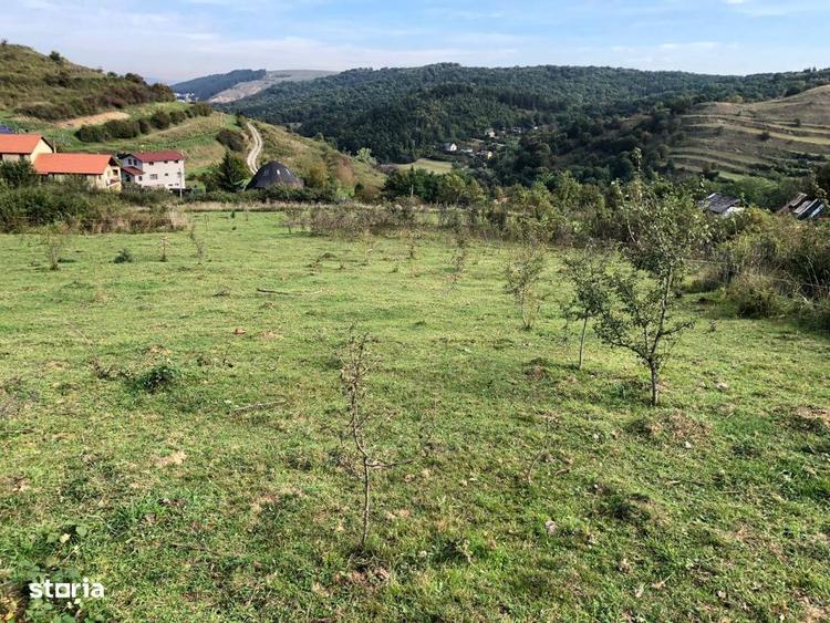 Teren Intravilan cuprins in PUG, 5100 mp, Tauti - 4