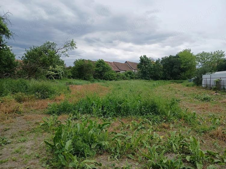 Casa de vanzare + gradina - Vene?ia de Jos, Bra?ov, Romania - 2