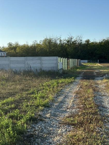 Loturi teren 590 mp - 4