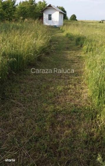 5050mp teren intravilan, faneata, comuna Garcina, sat Almas, Neamt - 1