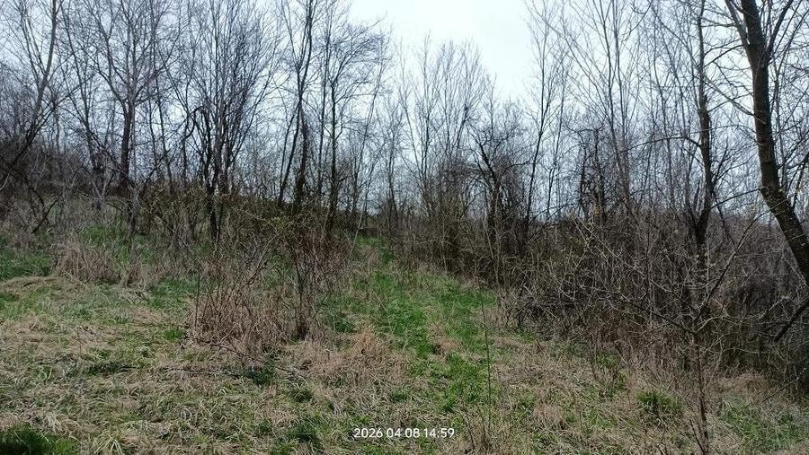 Vand casa Bozioru teren 3600 mp - 4