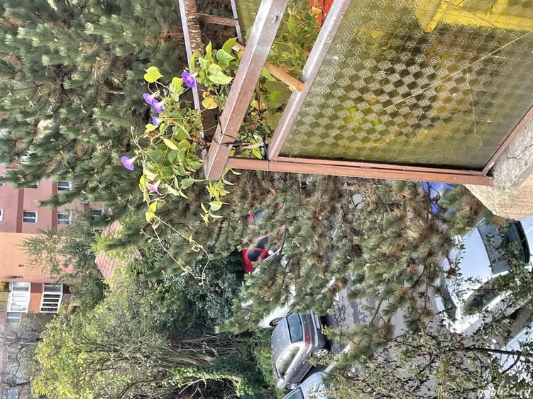 Apartament vintage-chic Grigorescu - 1