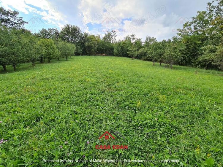 Teren intravilan in Poiana Campina--3287mp--10e - 8