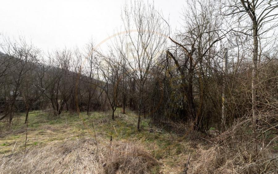 Teren de vanzare 1221 mp in Budeasa Mica, zona lini? - 1