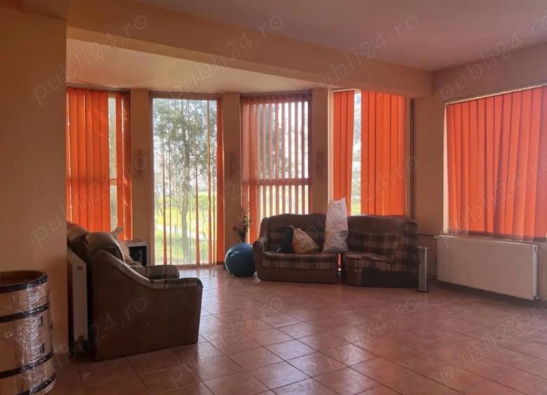 Vila Branesti Islaz foarte spatioasa stradala-ideal afacere - 8