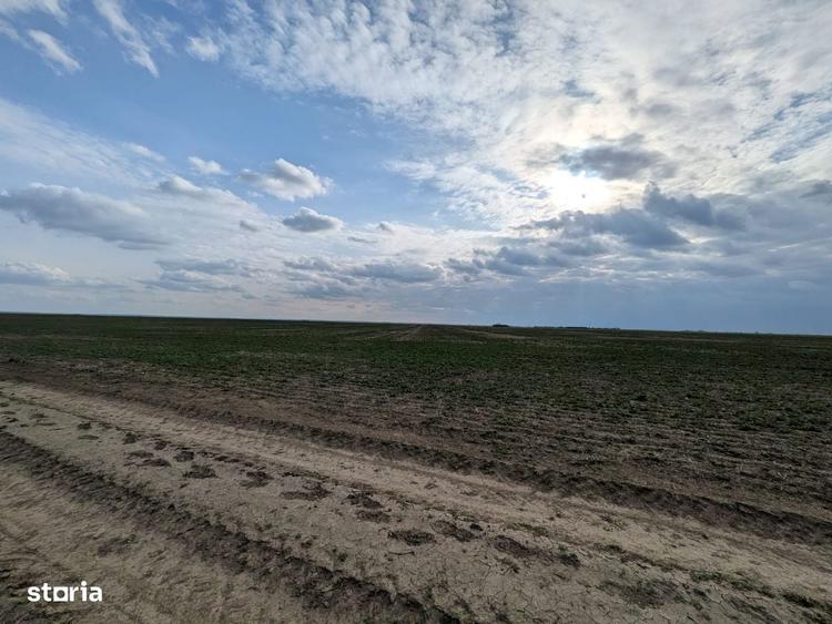 Loturi intravilane 300 mp, la 10 km de Centura Sud Bucure?ti - 2