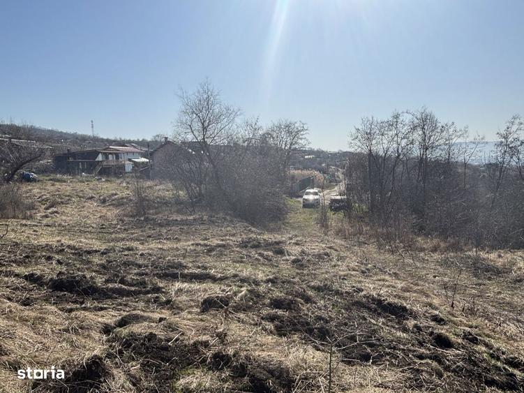 Teren Pomet/3 km Auchan - 4