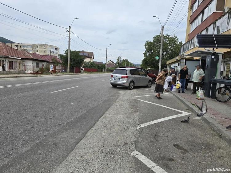 Spatiu comercial zona Lidl Darmane?ti - 1