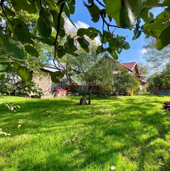 Refugiu verde lângă București | 4 camere, 185 mp, teren 1.287 mp
