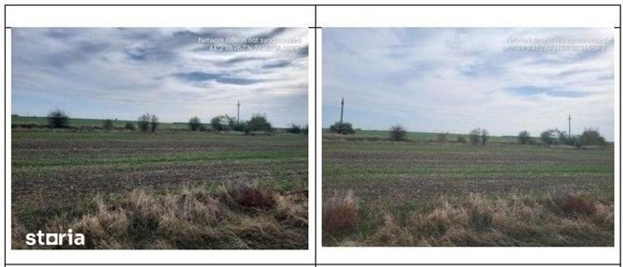 Teren de 3800 mp, în Comana
